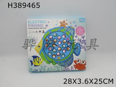 H389465 - Puzzle electric fishing