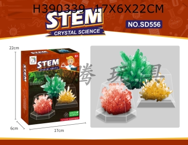 H390339 - Crystal planting