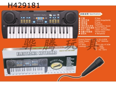 H429181 - electric organ / electronic organ