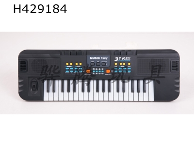 H429184 - electric organ / electronic organ