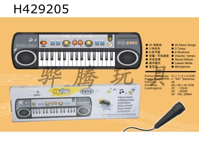 H429205 - electric organ / electronic organ