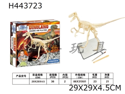 H443723 - Archaeological excavation Velociraptor