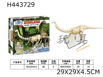 H443729 - Archaeological excavation of long necked Dragon
