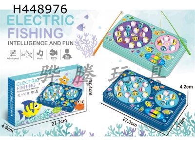 H448976 - Puzzle electric fishing