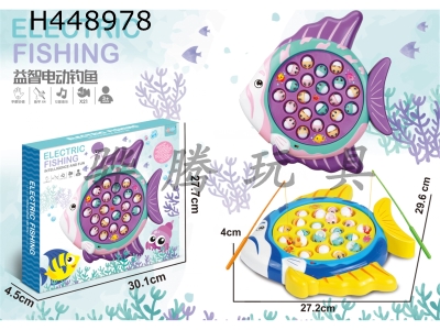 H448978 - Puzzle electric fishing