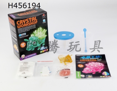 H456194 - English - Crystal workshop