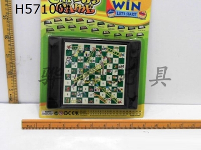 H571001 - Snake ladder chess