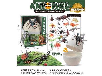 H653907 - Boxed&nbsp;insect&nbsp;eggs