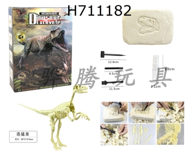 H711182 - DIY archaeological excavation and assembly of dinosaur shaped stones/Velociraptor