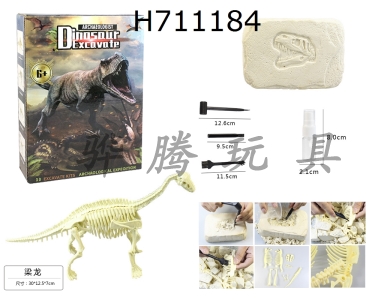H711184 - DIY archaeological excavation and assembly of dinosaur shaped stones/Lianglong