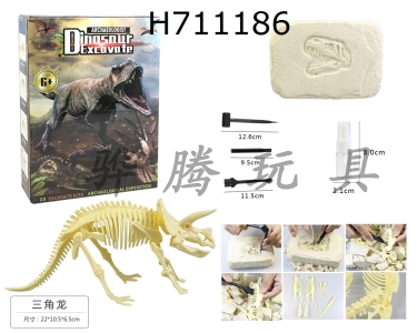 H711186 - DIY archaeological excavation and assembly of dinosaur shaped stones/Triceratops