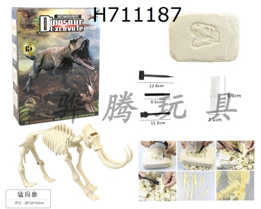 H711187 - DIY archaeological excavation and assembly of dinosaur shaped stones/mammoths