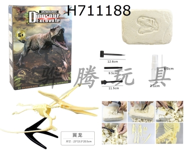 H711188 - DIY archaeological excavation and assembly of dinosaur fossils/block pterosaur