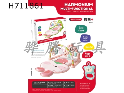 H711861 - Strawberry Rabbit Foot Piano Green/Pink
