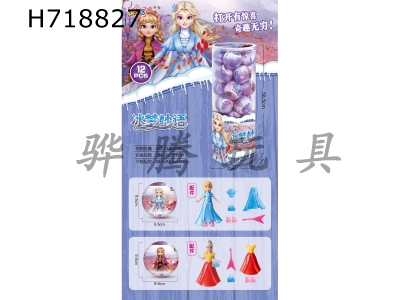 H718827 - Ice and Snow Wisdom 28 Pills Medium Pack