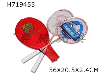 H719455 - Childrens iron badminton racket