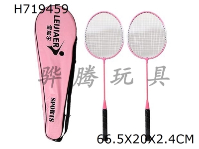 H719459 - Iron badminton racket