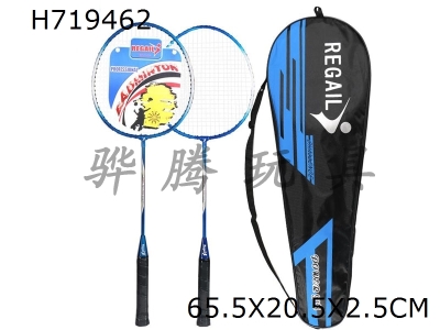 H719462 - Iron badminton racket