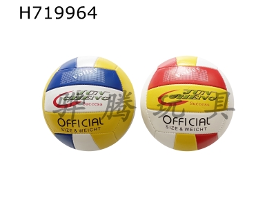 H719964 - 9-inch volleyball mixed suit