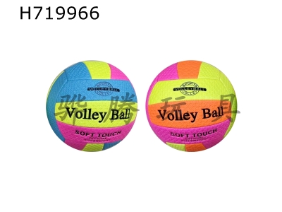 H719966 - 9-inch volleyball mixed suit