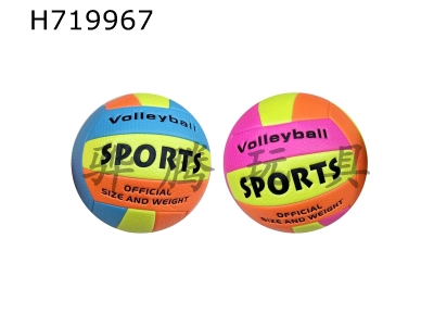 H719967 - 9-inch volleyball mixed suit