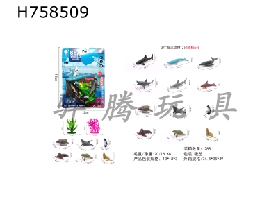 H758509 - Marine&nbsp;assemblage