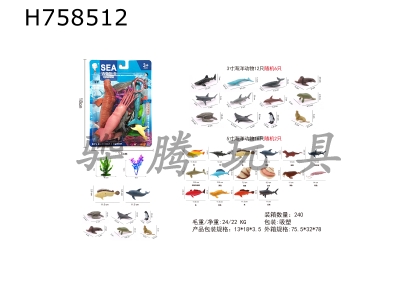 H758512 - Marine&nbsp;assemblage