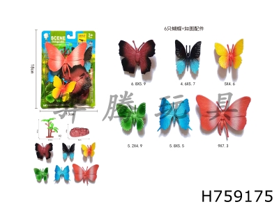 H759175 - Butterfly&nbsp;suit