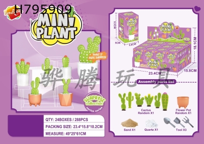 H795909 - Cactus DIY blind box (12 boxes)กฐ