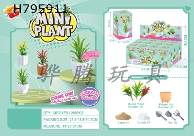 H795911 - DIY blind box for green plants (12 boxes)กฐ