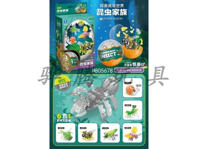 H805678 - ͸棨6