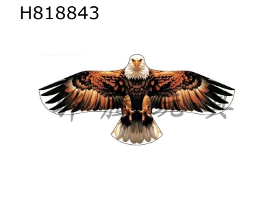 H818843 - 1.5 meter golden wide feathered eagle kite wiring