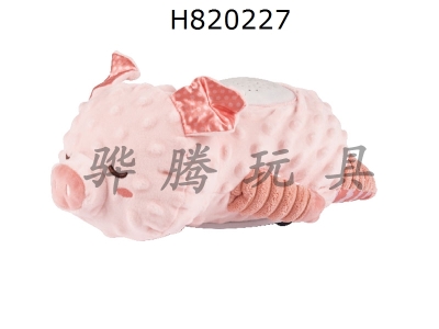 H820227 - Projection pig