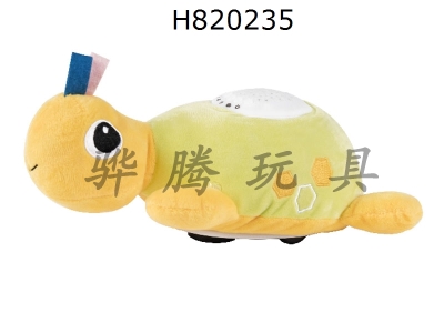 H820235 - Projection turtle