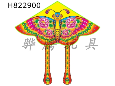 H822900 - Butterfly&nbsp;Kite&nbsp;with&nbsp;50&nbsp;Rice&nbsp;Noodles