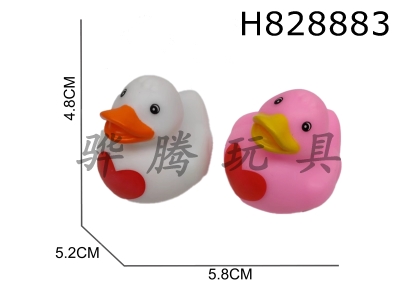 H828883 - Preserved&nbsp;Duck