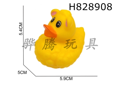 H828908 - Preserved&nbsp;Duck