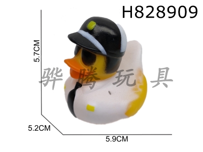 H828909 - Preserved&nbsp;Duck