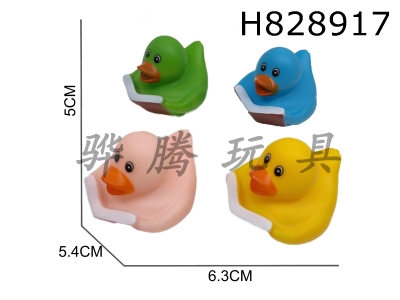 H828917 - Preserved&nbsp;Duck
