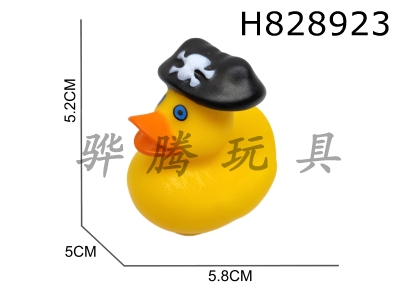 H828923 - Preserved&nbsp;Duck