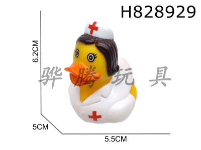 H828929 - Preserved&nbsp;Duck