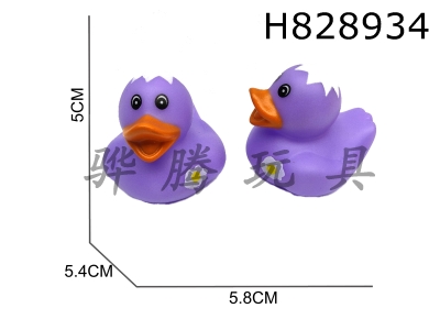H828934 - Preserved&nbsp;Duck