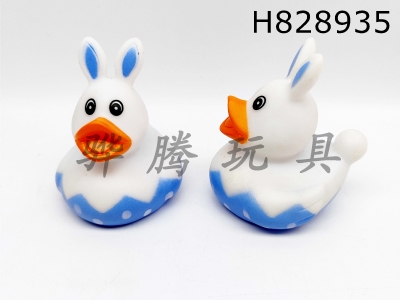 H828935 - Preserved&nbsp;Duck