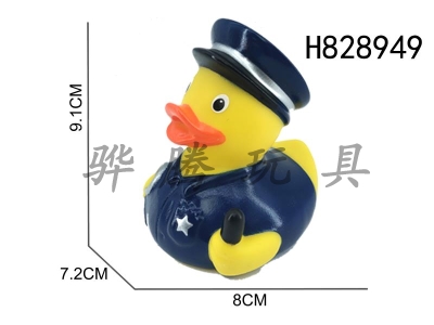 H828949 - Preserved&nbsp;Duck