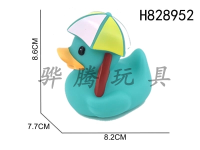 H828952 - Preserved&nbsp;Duck