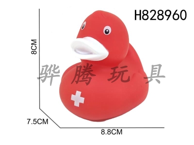 H828960 - Preserved&nbsp;Duck