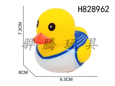 H828962 - Preserved&nbsp;Duck