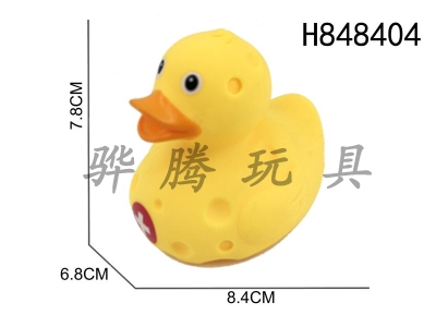 H848404 - Preserved&nbsp;Duck