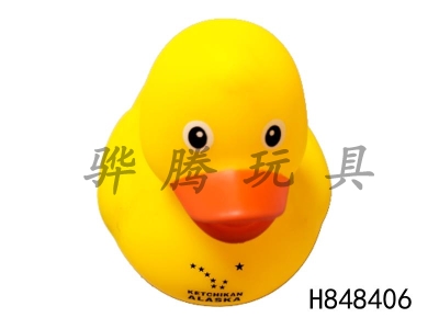 H848406 - Preserved&nbsp;Duck